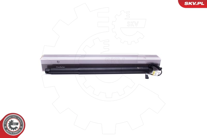 Electric Motor, tailgate